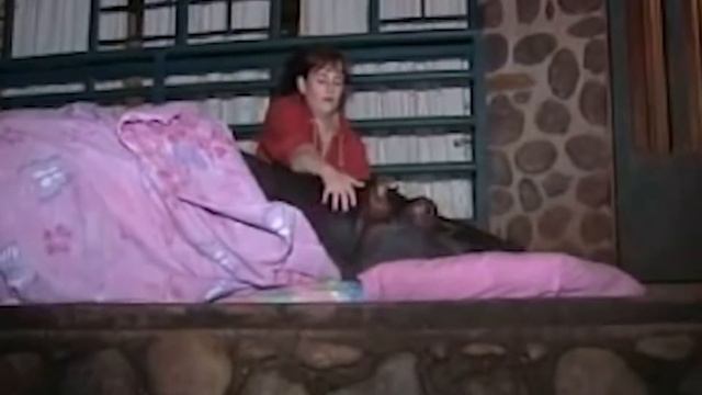 10 Милых Экзотических Животных, Которых Вы Захотите Себе Домой смотреть онлайн