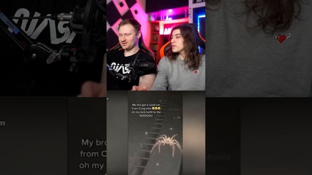 Паучище смотреть онлайн