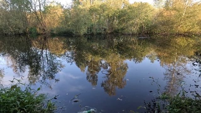 Исследуем новые места для бега: увлекательные факты о беге! смотреть онлайн