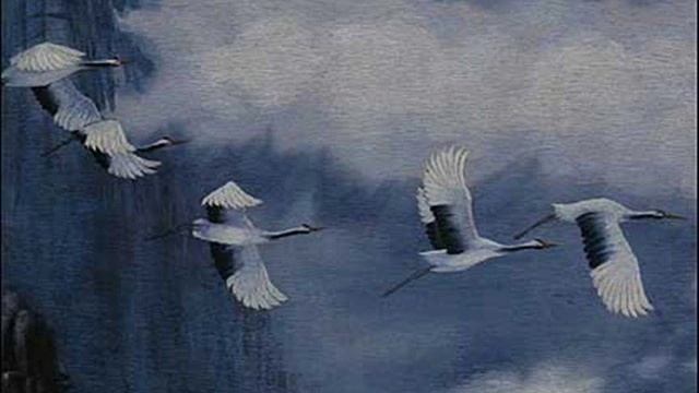 Н.Заболоцкий - Вылетев Из Африки В Апреле... смотреть онлайн