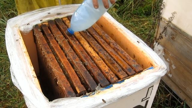 Пчеловодство.Как и чем обработать начинающему пчеловоду пчёл от варроатоза поздней осенью. смотреть онлайн