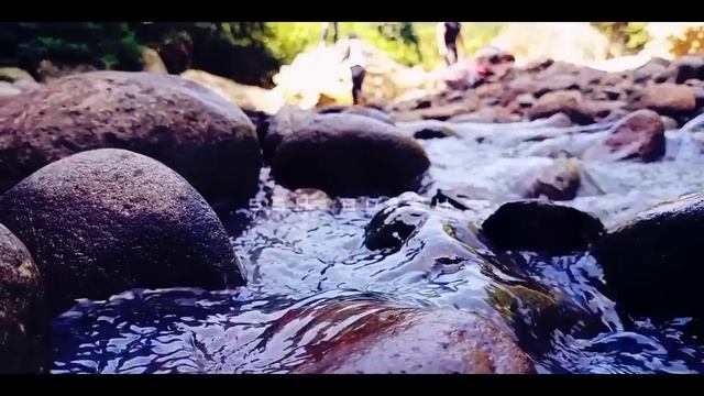 VIDEO BOKEH  FULL HD   || Bathing On The Beach
