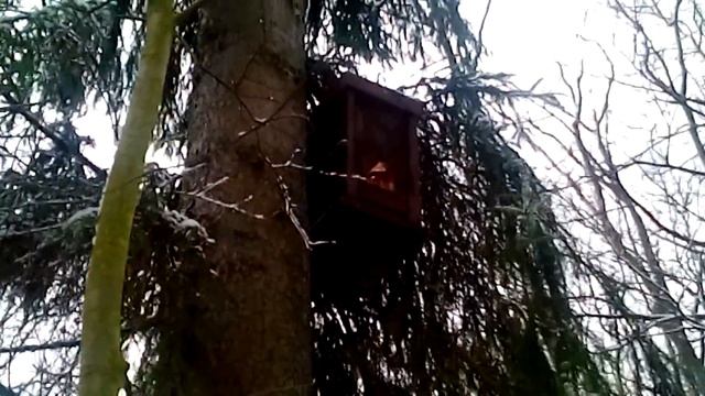 Ловушки для пчел зимой. смотреть онлайн