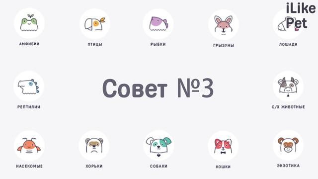 4 совета, как отучить кошку кусаться смотреть онлайн