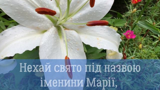 З днем Ангела Марії! Привітання з іменинами Марії! Вітаю Маріє! Вітання на іменини Марії! З Марією смотреть онлайн