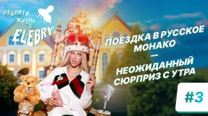Дельфины, коровы и пилоты без топлива. Влюблена в Русское Монако. Жизнь с ELEBRY/ 3 эпизод