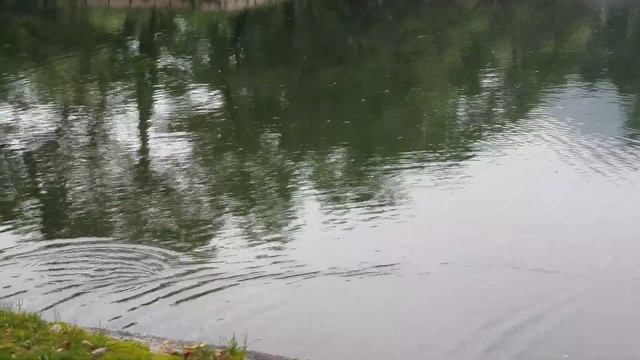 Visiting Gyeongbokgung Palace (경복궁) in Seoul, South Korea смотреть онлайн