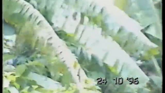 Travel journal: Vietnam-Laos Sep.24--Nov.13 1996 смотреть онлайн