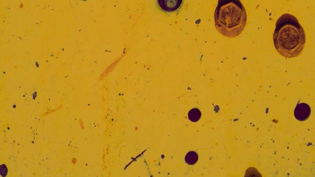 Giacinto Scelsi: Preludi per pianoforte, Serie IV (1930/1940) смотреть онлайн