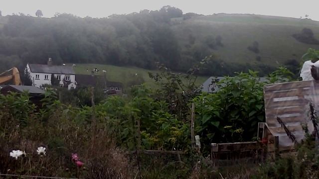 Predestination v Freewill смотреть онлайн