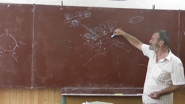 011 Глюкоза и рибоза; поваренная соль; кристаллы; электролитическая диссоциация и электропроводност смотреть онлайн