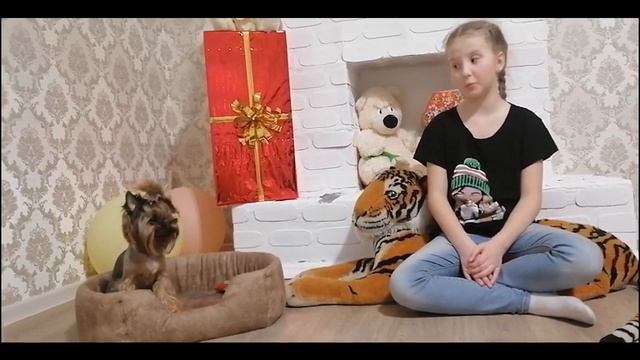 Видеовстречи 