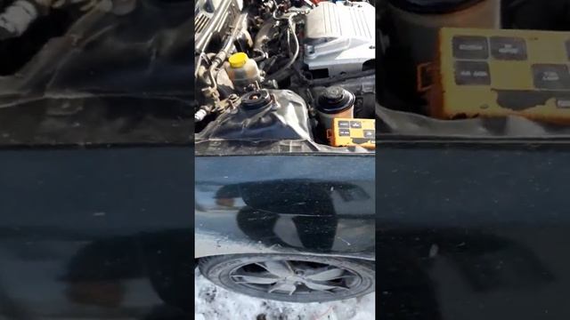 Не заводится Ниссан Цефиро а32! смотреть онлайн