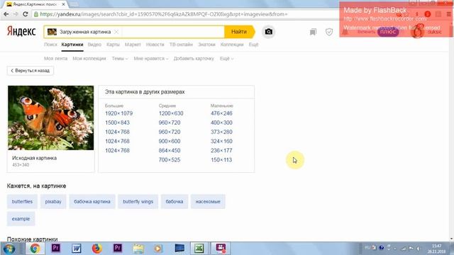 Поиск в яндексе по картинке смотреть онлайн