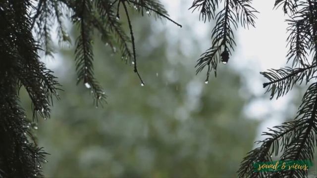 Rain Song HD 1080p Video | sound & views смотреть онлайн