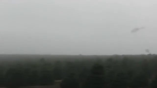 Копия видео Пилот 80 го уровня или погрузка новогодних елок смотреть онлайн
