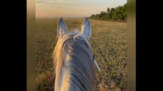 Janaga - Солнце | Demo смотреть онлайн