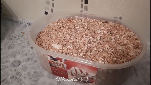 Мягкий корм для насекомоядных птиц смотреть онлайн