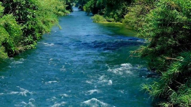 River sound. Birdsong. Relax. Звук реки. Пение птиц. Расслабляться. смотреть онлайн