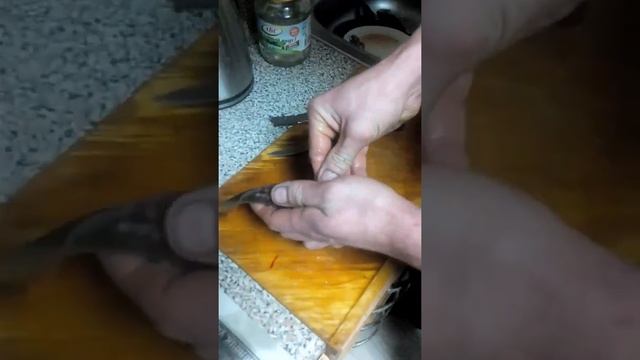 Как чистить окуня смотреть онлайн