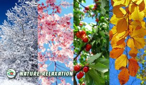 Весна Лето Осень Зима / 4 Сезона / Самая Красивая музыка Времен Года / Эдгар Туниянц