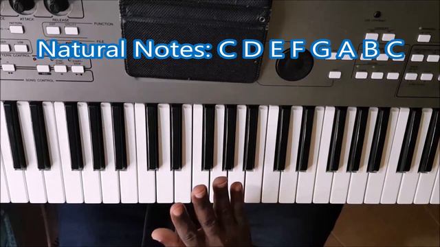 How To Label Piano Keys - White & Black - Very Easy Beginners' Piano Lesson смотреть онлайн