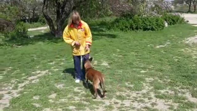 Training Of Flip. Обучение флипу.