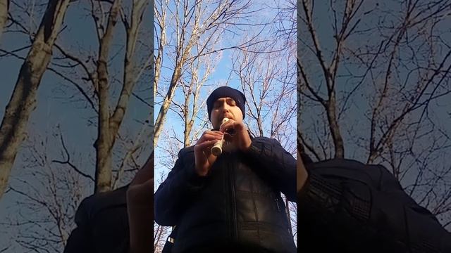 Маленькой Елочке Холодно Зимой VID 20211125 113616 смотреть онлайн