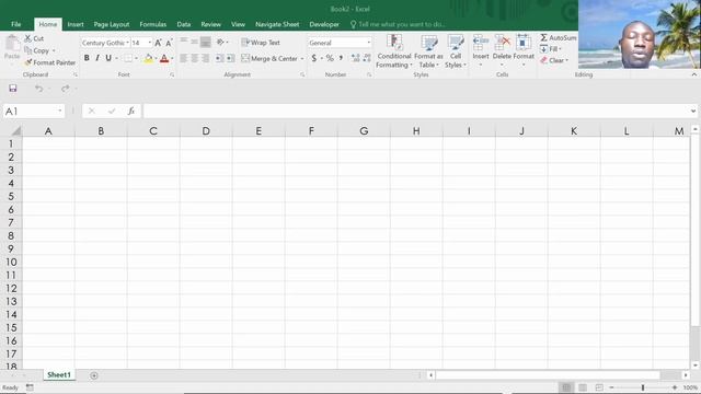 Session 1: Basic Excel, Unit 2: Understanding a workbook and worksheet смотреть онлайн