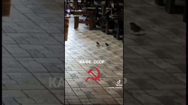 ОТРАДНАЯ КРАСНОДАРСКИЙ КРАЙ.ТЕРМОПАРК смотреть онлайн