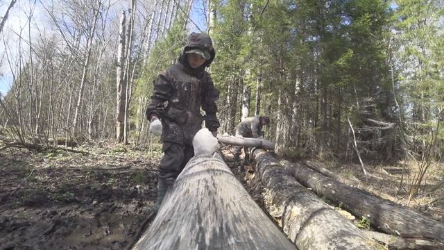 Проверка солонца. Добавляем соль в солонец. смотреть онлайн