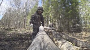 Проверка солонца. Добавляем соль в солонец.