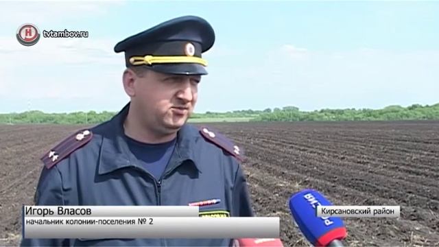 В Кирсановской колонии выручат 9 миллионов рублей с продажи картофеля смотреть онлайн