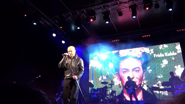 Enrico Ruggeri - Quello che le donne non dicono Live @ Sartano смотреть онлайн