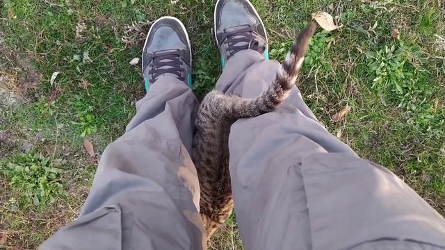 Пришел на реку поддержать бездомных котеек смотреть онлайн