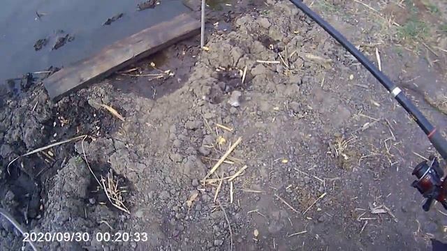 Рыбалочка на самодельный макушатник+ желтый карась и вагон адреналина . смотреть онлайн