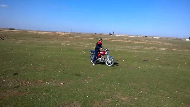 жучек на альфе смотреть онлайн