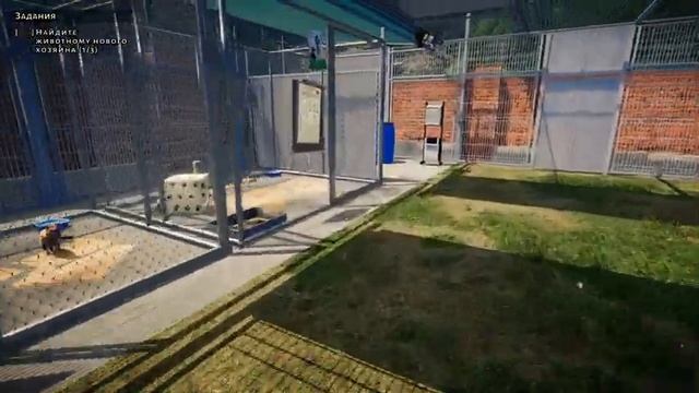 Animal Shelter Prologue Ищем дом для брошенных животных Стрим 4К Прохождение #1 смотреть онлайн