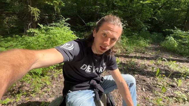 Spraying Sanctuaries