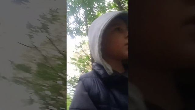 ОТПРАВИЛИСЬ в ДЖУНГЛИ ! смотреть онлайн