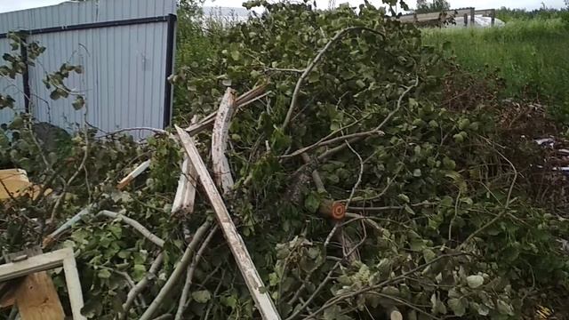 VID_20230710_135625.mp4 смотреть онлайн