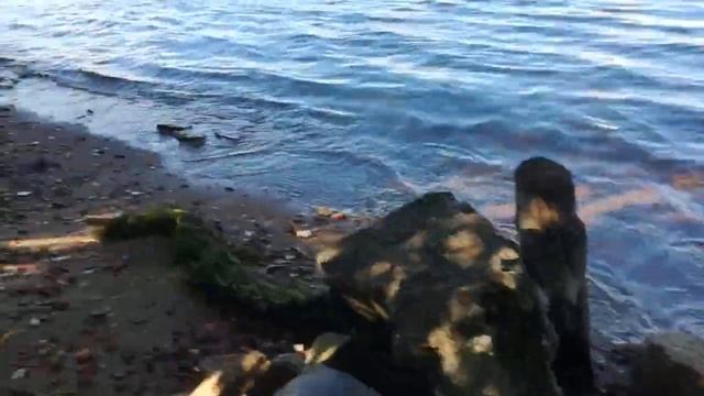 Гранитные камни на берегу Невы - останки древних сооружений?