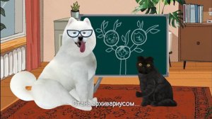 Московские колледжи | Кот Бублик