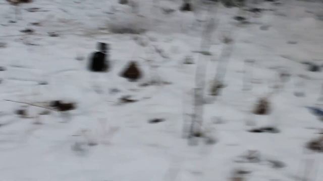 Петарда и пена веселые забавные эксперименты/Firecracker and foam funny experiments смотреть онлайн