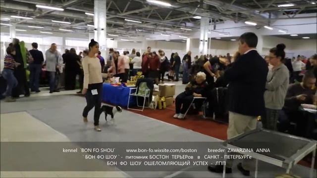 12 10 19   ХОШИ   ЛПП