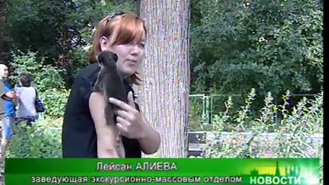 носуха казанский зооботсад