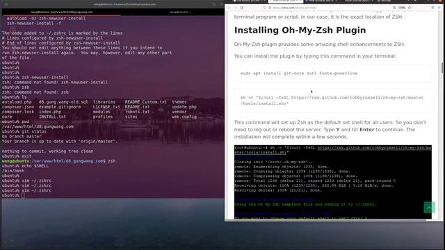 如何在 Ubuntu Linux 安装使用 Z Shell (zsh) 和 Oh My Zsh 终端 смотреть онлайн