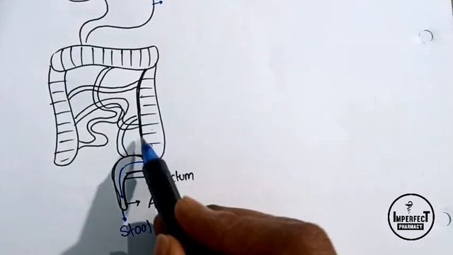 Cathartics | Magnesium Sulphate | Sodium Orthophosphate | Kaolin | Bentonite | Saline Cathartics смотреть онлайн