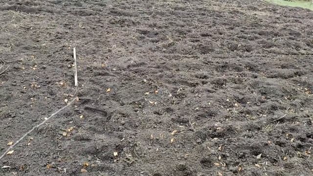 Какой будет зима 2020-2021. Погодные приметы. смотреть онлайн