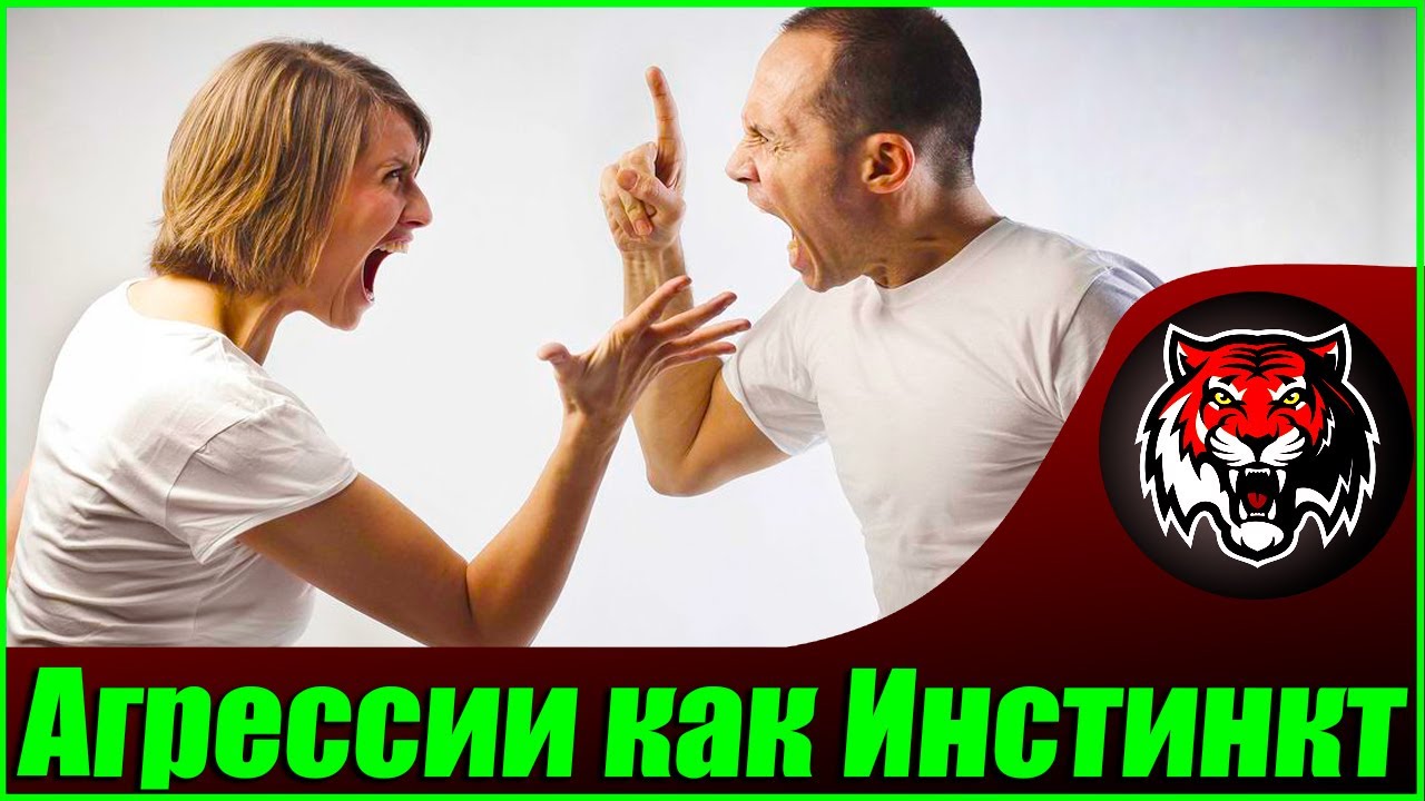О домашнем насилии и естественной человеческой агрессии смотреть онлайн